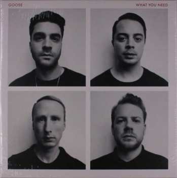 Album Goose: What You Need