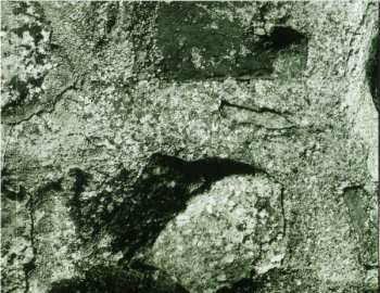 CD Gospel Company: Untitled