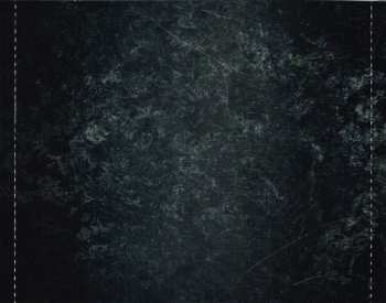 CD Gotthard: Need To Believe