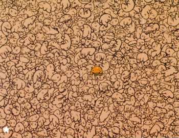 CD Grabass Charlestons: The Greatest Story Ever Hula'd