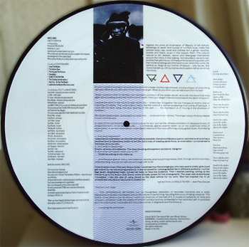 LP Grace Jones: Slave To The Rhythm PIC | LTD