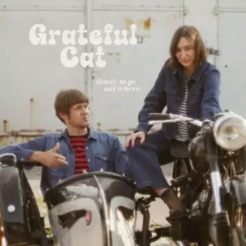 Grateful Cat: Ready To Go Anywhere