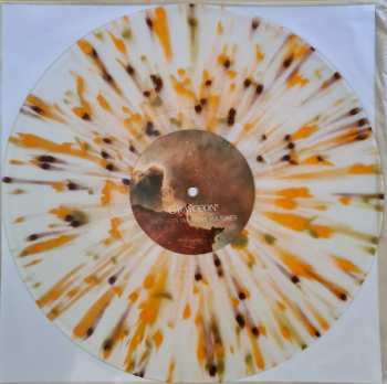 LP Grayceon: Mothers Weavers Vultures