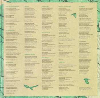 2LP Great Lake Swimmers: New Wild Everywhere LTD | NUM