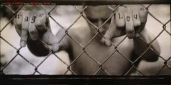 2LP Green Day: American Idiot