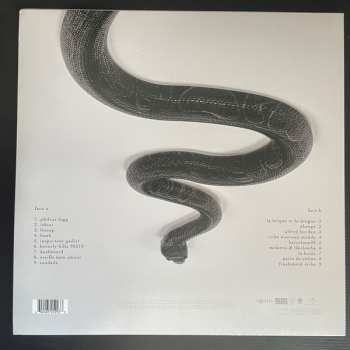 LP Green Montana: Saudade