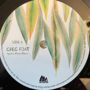 SP Greg Foat: Spider Plant Blues