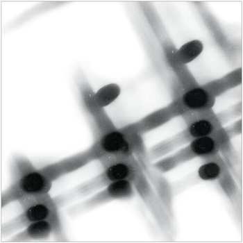 Album Gregor Samsa: 40:13.5