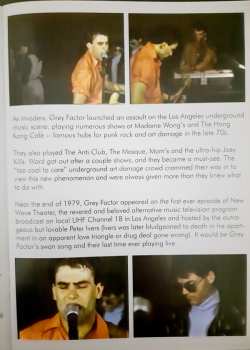 LP Grey Factor: 1979-1980 A.D. (Complete Studio Recordings) CLR | LTD