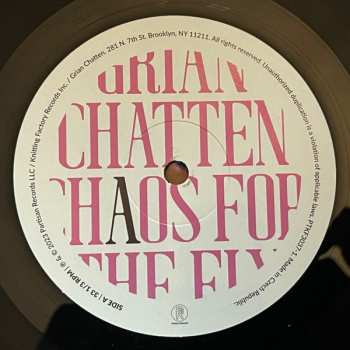 LP Grian Chatten: Chaos For The Fly