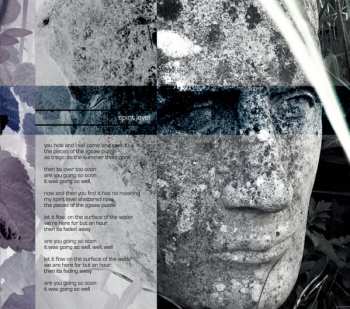 CD Grice: The Grey Of Granite Stone