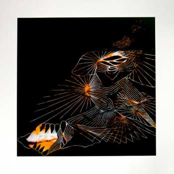 Album GRID: Decomposing Force
