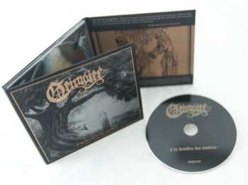 CD Grimoire: À La Lumière Des Cendres DIGI