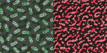 CD Groove Armada: Black Light