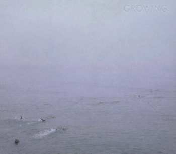 CD Growing: The Sky's Run Into The Sea
