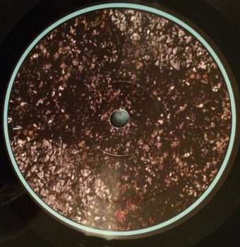 LP/DVD Guapo: History Of The Visitation