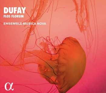 Album Guillaume Dufay: Flos Florum (Motets, Hymnes, Antiennes)