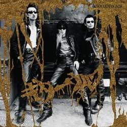 CD Guitar Wolf: Golden Black