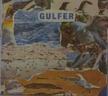 Gulfer