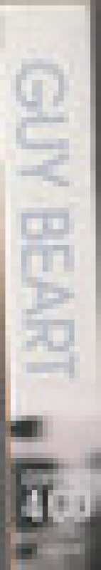 4CD/Doos Guy Beart: Best Of 3CD & Son Nouvel Album