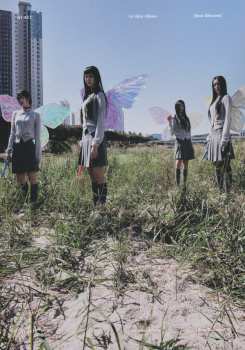 Album H1-KEY: Rose Blossom