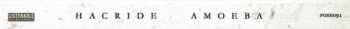 CD Hacride: Amoeba