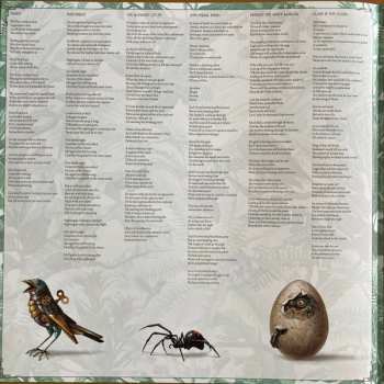 2LP Haken: Fauna LTD | CLR