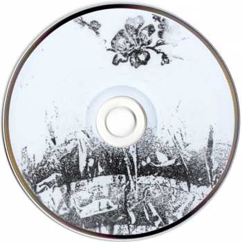 CD Hall Of Fame: Hall Of Fame