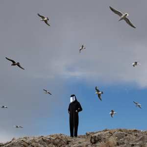 Album Hamerkop: Remote
