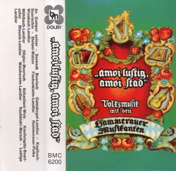 Die Hammerauer Musikanten: "Amoi Lustig, Amoi Stad" - Volksmusik Mit Den Hammerauer Musikanten