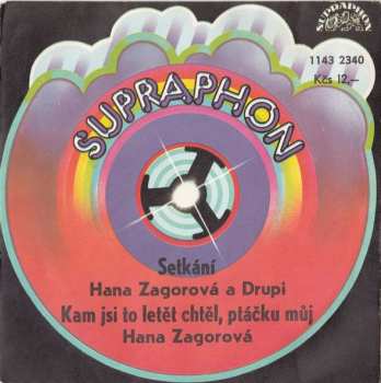Album Hana Zagorová: Setkání / Kam Jsi To Letět Chtěl, Ptáčku Můj