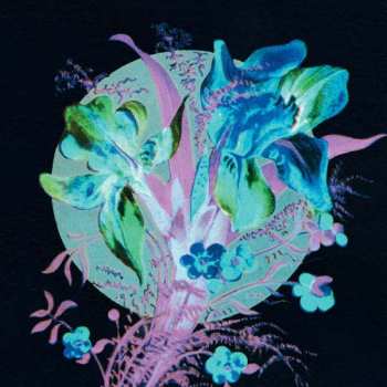 Album Hannu Karjalainen: A Handful Of Dust Is A Desert