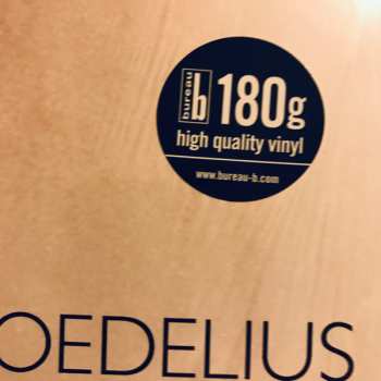 LP Hans-Joachim Roedelius: The Diary Of The Unforgotten - Selbstportrait VI