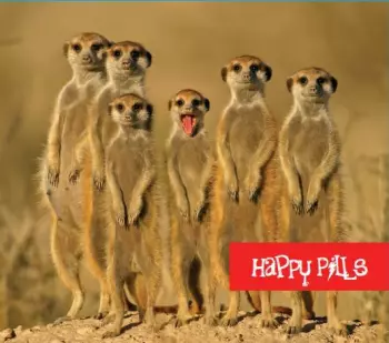 Happy Pills 