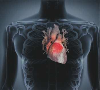 CD Hardy Fox: Nachtzug