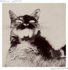 Album Harrison Whitford: Afraid of Nothing