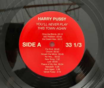 2LP Harry Pussy: You'll Never Play This Town Again