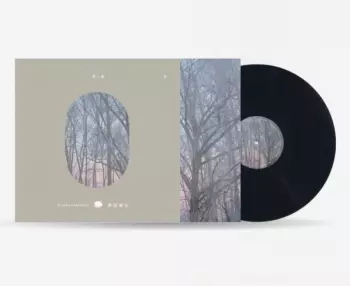 Haruka Nakamura: 青い森 Ⅱ -蔦屋書店の音楽