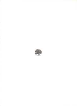 CD Haruka Nakamura: 青い森 II -蔦屋書店の音楽-
