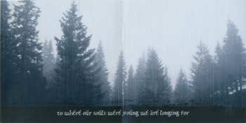 CD Hate Forest: To Twilight Thickets