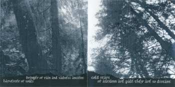 CD Hate Forest: To Twilight Thickets