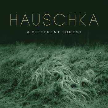 LP Hauschka: A Different Forest