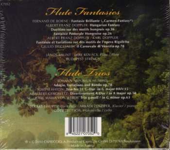 2CD Joseph Haydn: Flute Fantasies - Flute Trios