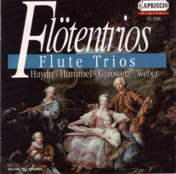 2CD Joseph Haydn: Flute Fantasies - Flute Trios