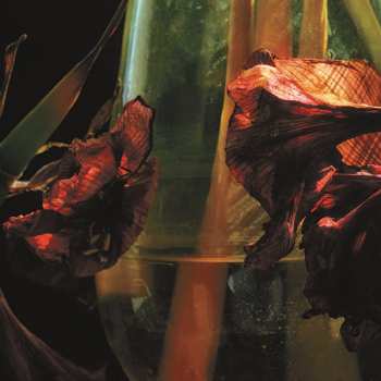 LP Hayvanlar Alemi: Psychedelia in Times of Turbulence