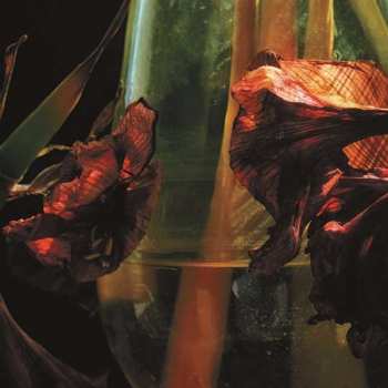 CD Hayvanlar Alemi: Psychedelia In Times Of Turbulence