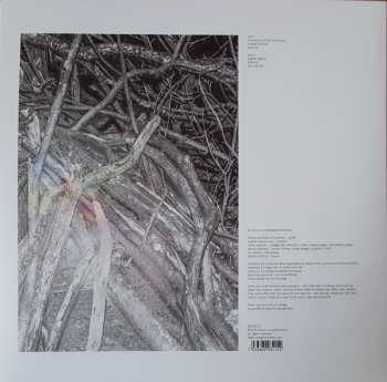 LP Hedvig Mollestad Thomassen: Ekhidna