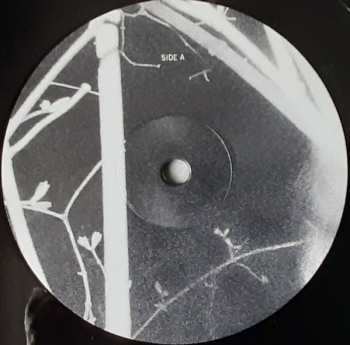 LP Hedvig Mollestad Thomassen: Ekhidna