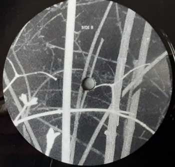 LP Hedvig Mollestad Thomassen: Ekhidna