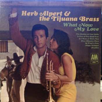 LP Herb Alpert & The Tijuana Brass: What Now My Love
